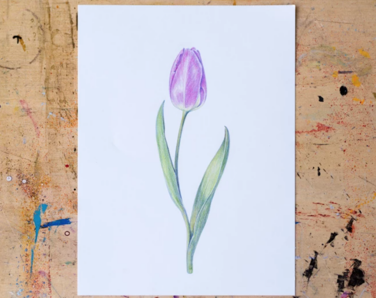 Try Colored Pencils With Beginner Projects Craftsy Try Colored Pencils With Beginner Projects Craftsy