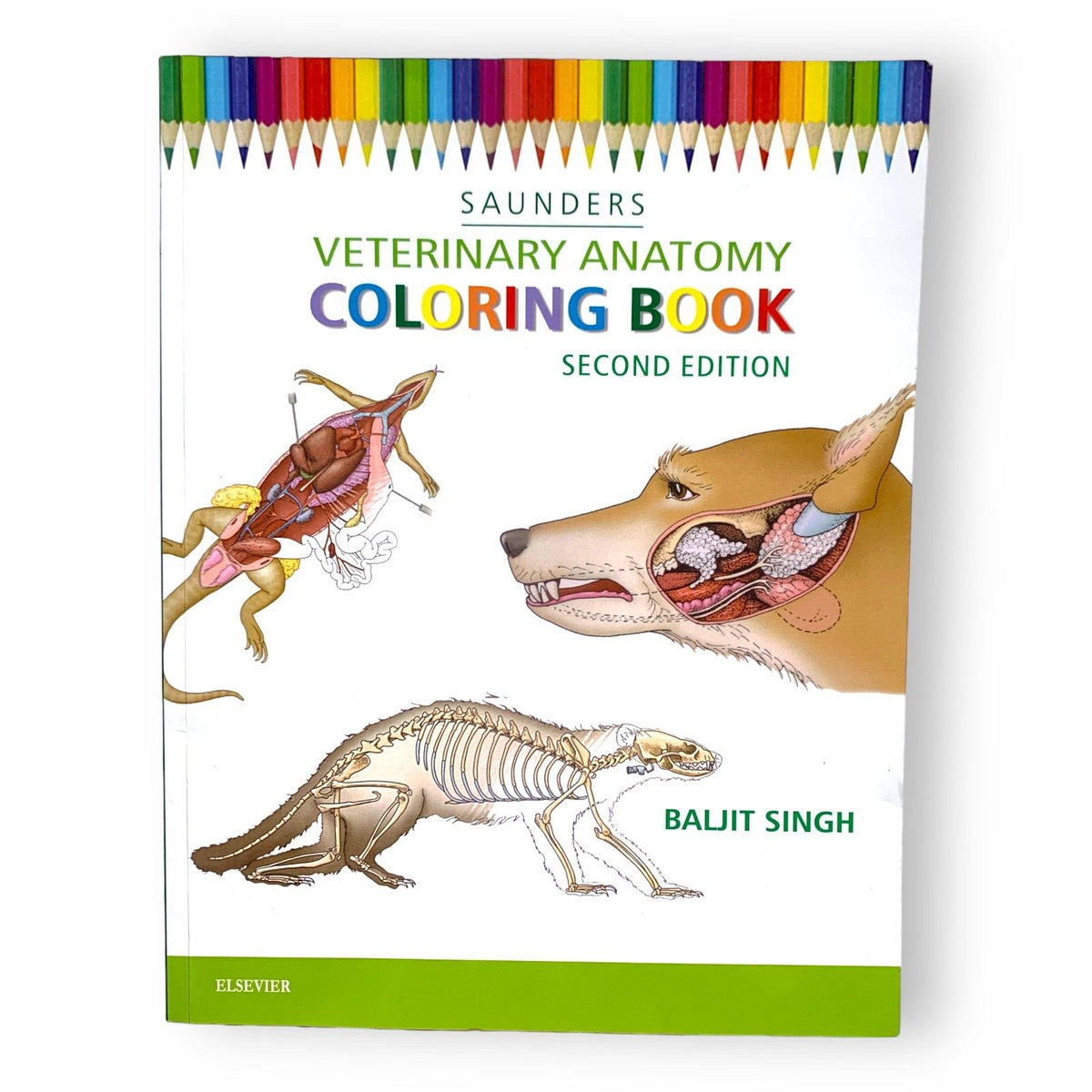 Veterinary Anatomy Coloring Book 2nd Edition By Saunders Paperback Book NEW 9781455776849 EBay Veterinary Anatomy Coloring Book 9781455776849 Medicine Health Science Books Amazon
