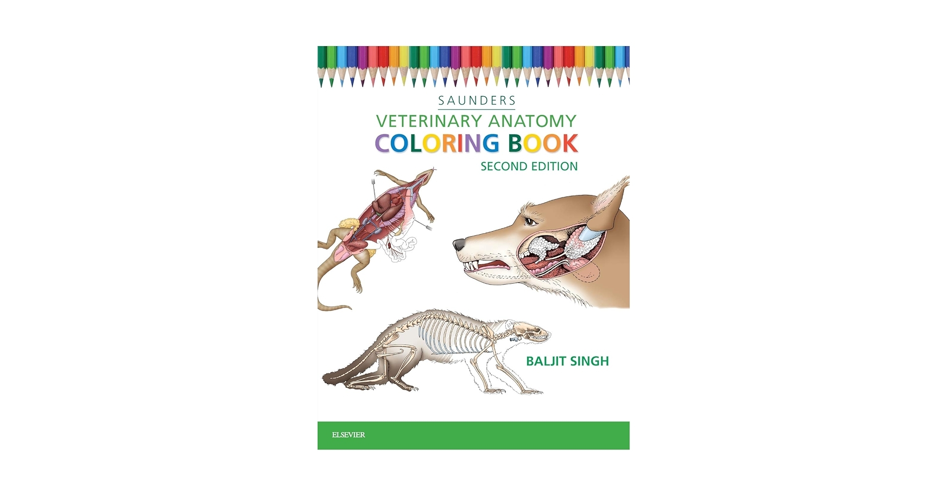 Veterinary Anatomy Coloring Book 9781455776849 Medicine Health Science Books Amazon Veterinary Anatomy Coloring Book 9781455776849 Medicine Health Science Books Amazon