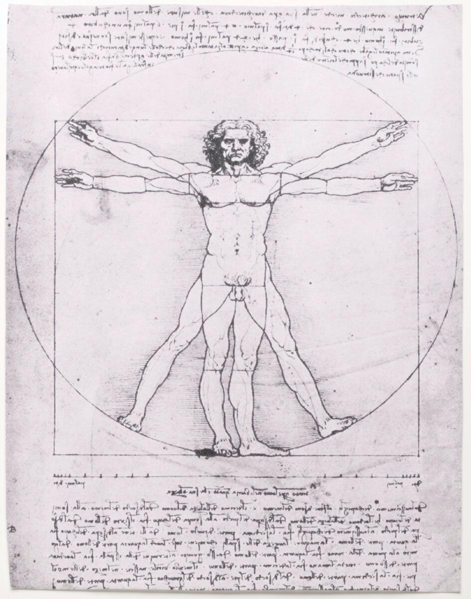 Vitruvian Man History Drawing Leonardo Da Vinci Meaning Facts Britannica Timing In Astrology Profections Firdaria And More H LoAstro