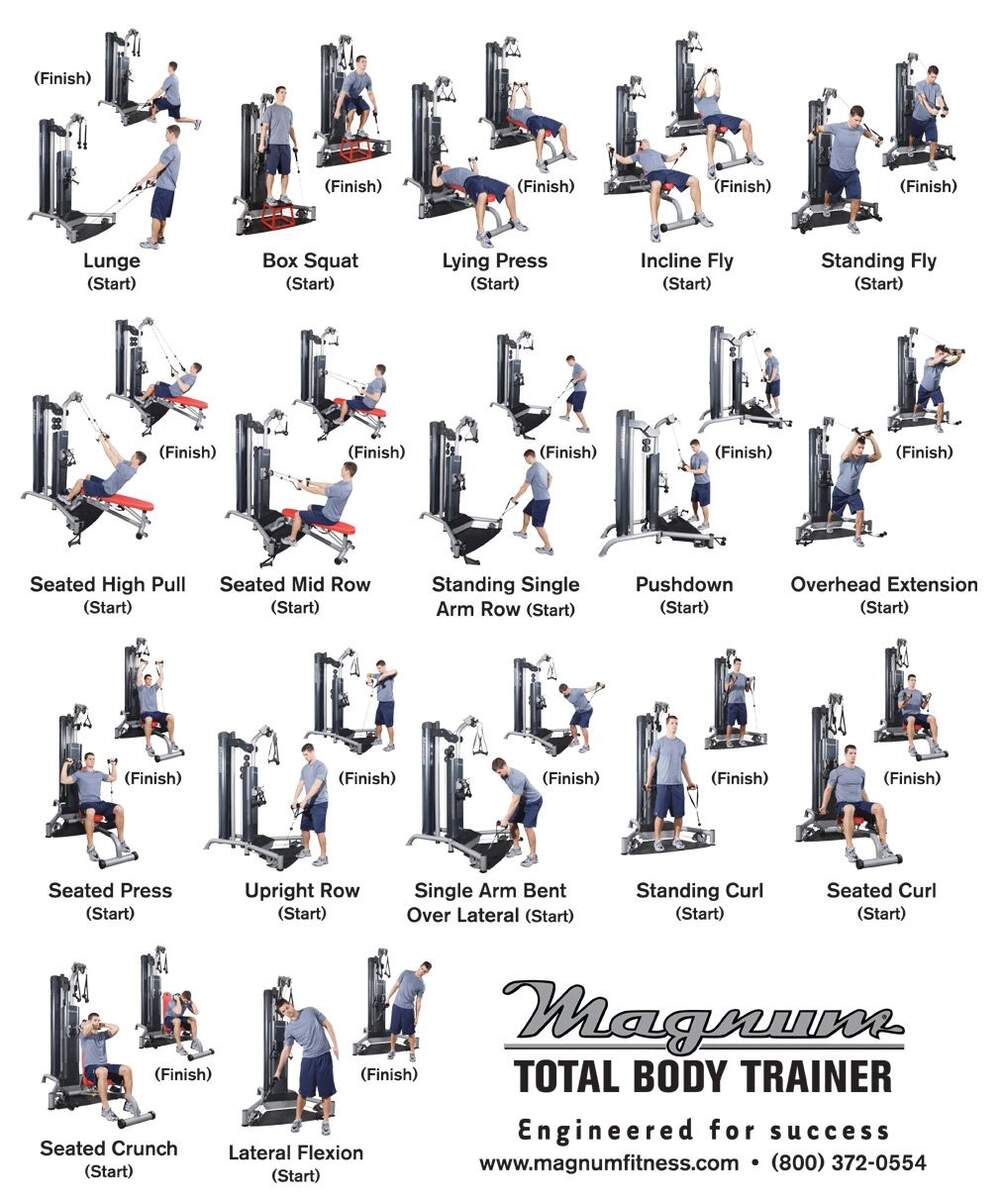 Weider Exercise Chart Total Gym Weider Ultimate Body Works Sliding Bench Jamaica Ubuy