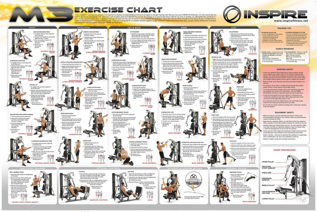 Weider Pro Weider Ultimate Body Works Chart Weider Ultimate Body Works Weider Pro Weider Ultimate Body Works Chart Weider Ultimate Body Works
