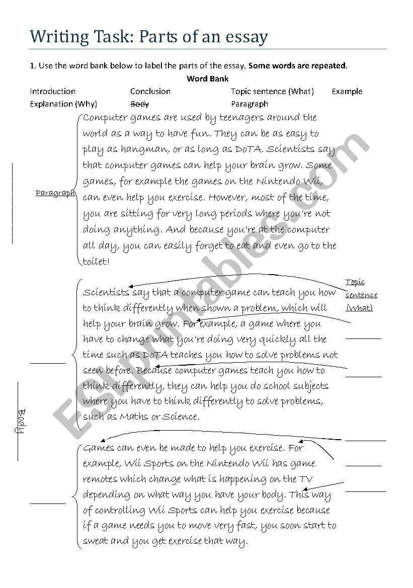 Writing Parts Of An Essay I ESL Worksheet By Rgmontal