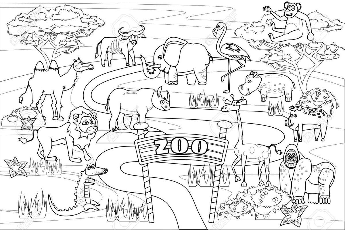 Zoo Jungle Safari Animals Coloring Book Educational Illustration For Children Set Cute Lion Crocodile Monkey Elephant Camel Rhinoceros Gorilla Hyppo Vector White Black Cartoon Outline Royalty Free SVG Cliparts Vectors And Stock Zoo Jungle Safari Animals Coloring Book Educational Illustration For Children Set Cute Lion Crocodile Monkey Elephant Camel Rhinoceros Gorilla Hyppo Vector White Black Cartoon Outline Royalty Free SVG Cliparts Vectors And Stock